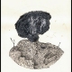 Señora que compró un cerebro (1999) · tinta, lápiz y óleo pastel sobre papel · 29 x 21 cm